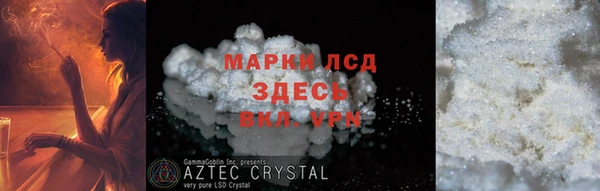прущие грибы Баксан