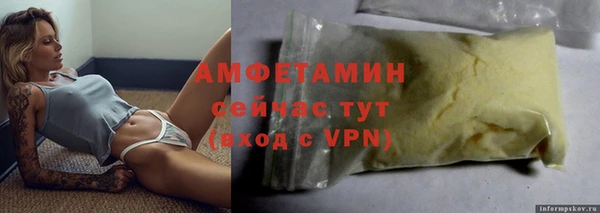 прущие грибы Баксан