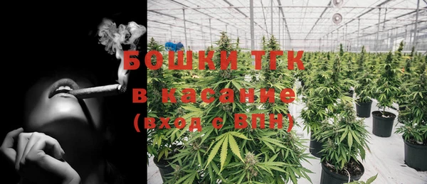 прущие грибы Баксан