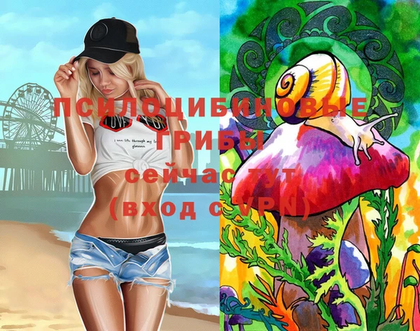 прущие грибы Баксан